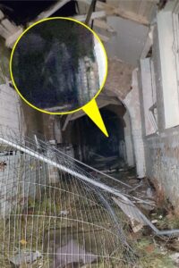 British "Ghostbusters" filmed a long-legged ghost in an abandoned mental hospital.